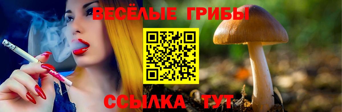 Галлюциногенные грибы GOLDEN TEACHER  Псилоцибиновые грибы мицелий  Вход с VPN  что такое наркотик  Сердобск 